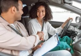 professional driving lessons